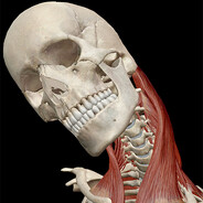 sternocleidomastoid
