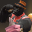 SpudiPlayer
