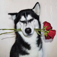 你爷爷拉着屎迅速