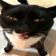 全封闭钢铁战神狗