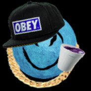 директор попы