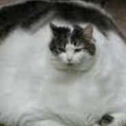 ich bin der aller echte