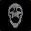 Cyber-Skull