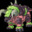 The Hexagoon