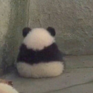 每天睡18个小时