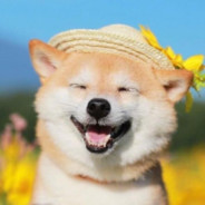 ✿҉͜南࿆͜山࿆͜❀҉࿈