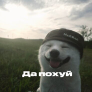 Участник