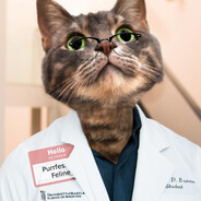 Purrfessor-Feline