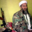 osama ben laden