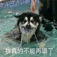 今天也想吃夜宵A