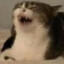OkamiGuden