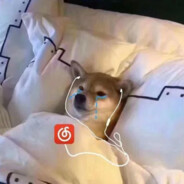 会emo的番茄炒鸡蛋