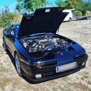 Tschuschneliminierer