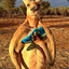 Krazy Kangaroo Kunt