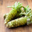 WASABİ