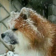 我要成为fps膏手