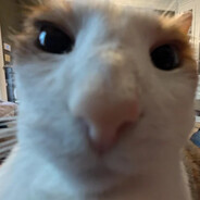 IcePrincexx3's Avatar