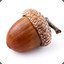 Acorn