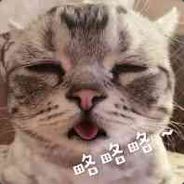 小七七七七七七七