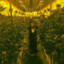 Хищник's avatar