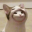 DeezPNutz