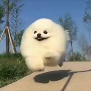 Killer logout expert