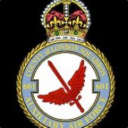 No601_Swallow