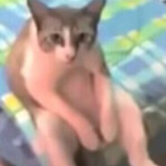 白头纸尿裤派蒙你记住