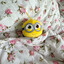 snils