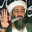 Osama bin ganja