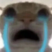 知北味-哈基米南北路多