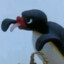 pingu