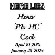 Horse Cock
