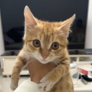 阳光下的无名小卒