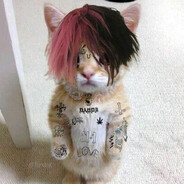 Paston - steam id 76561199004822361