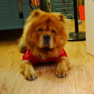 坑逼的学生快上课吧