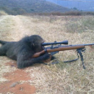 Tactical Monkey