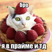 алабай