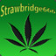 Strawbridge420