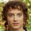 Frodo Baggins