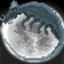 Moon Rat