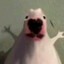 evil burga