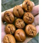 666666别打我求求了