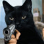 Cat with a gun