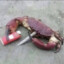 snoop crab