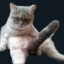 bobok0_0