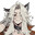ArgentShark avatar