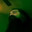 PS1 Hagrid