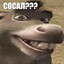 Мальчик