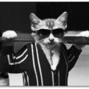 ЧАЧКА ПИПСОВ